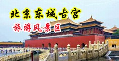 激情大屁股骚逼刺激视频网站中国北京-东城古宫旅游风景区